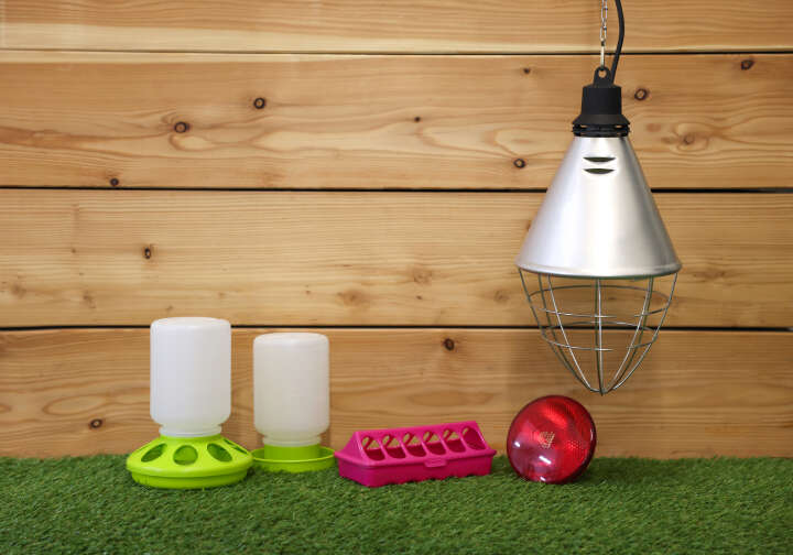 KERBL Küken-Starterset